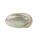 Abalone Muschel - LARGE ab 15 cm - Schale unbehandelt